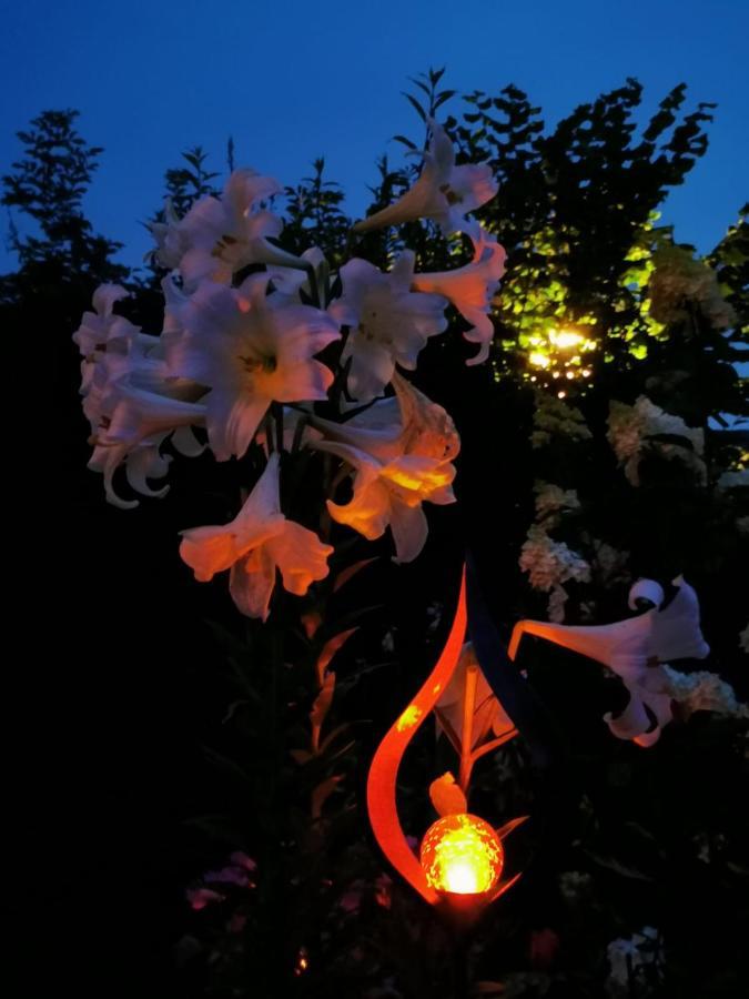Ferienwohnungen Thalmeier Sankt Gilgen Luaran gambar
